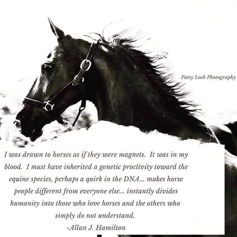When Horses are TRULY in your DNA! 🐎✨💫💞