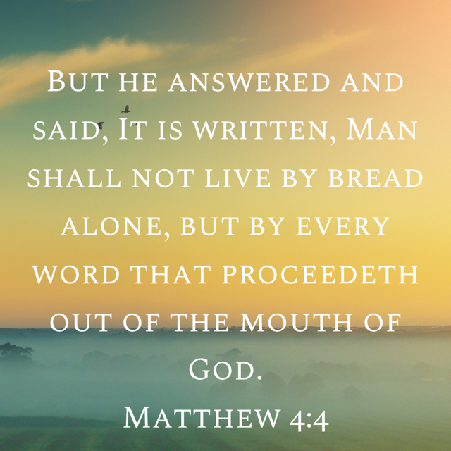 Happy Friday! ☀️🌊🏝️🐬💚 Matthew 4:4