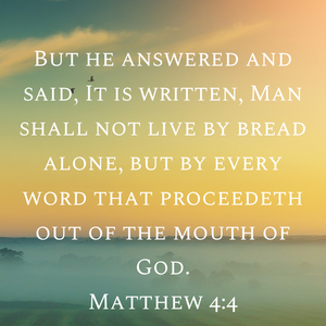 Happy Friday! ☀️🌊🏝️🐬💚 Matthew 4:4