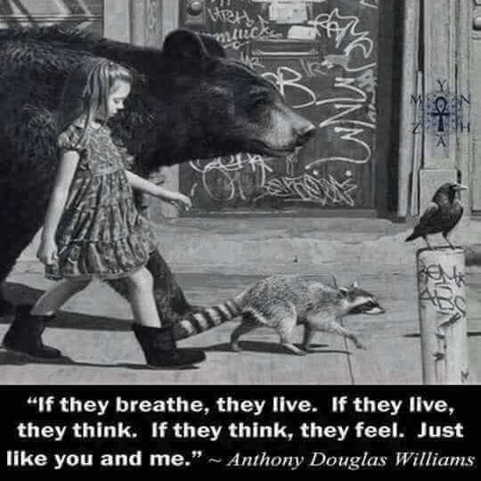 LOVE! Feel the love in everyone!